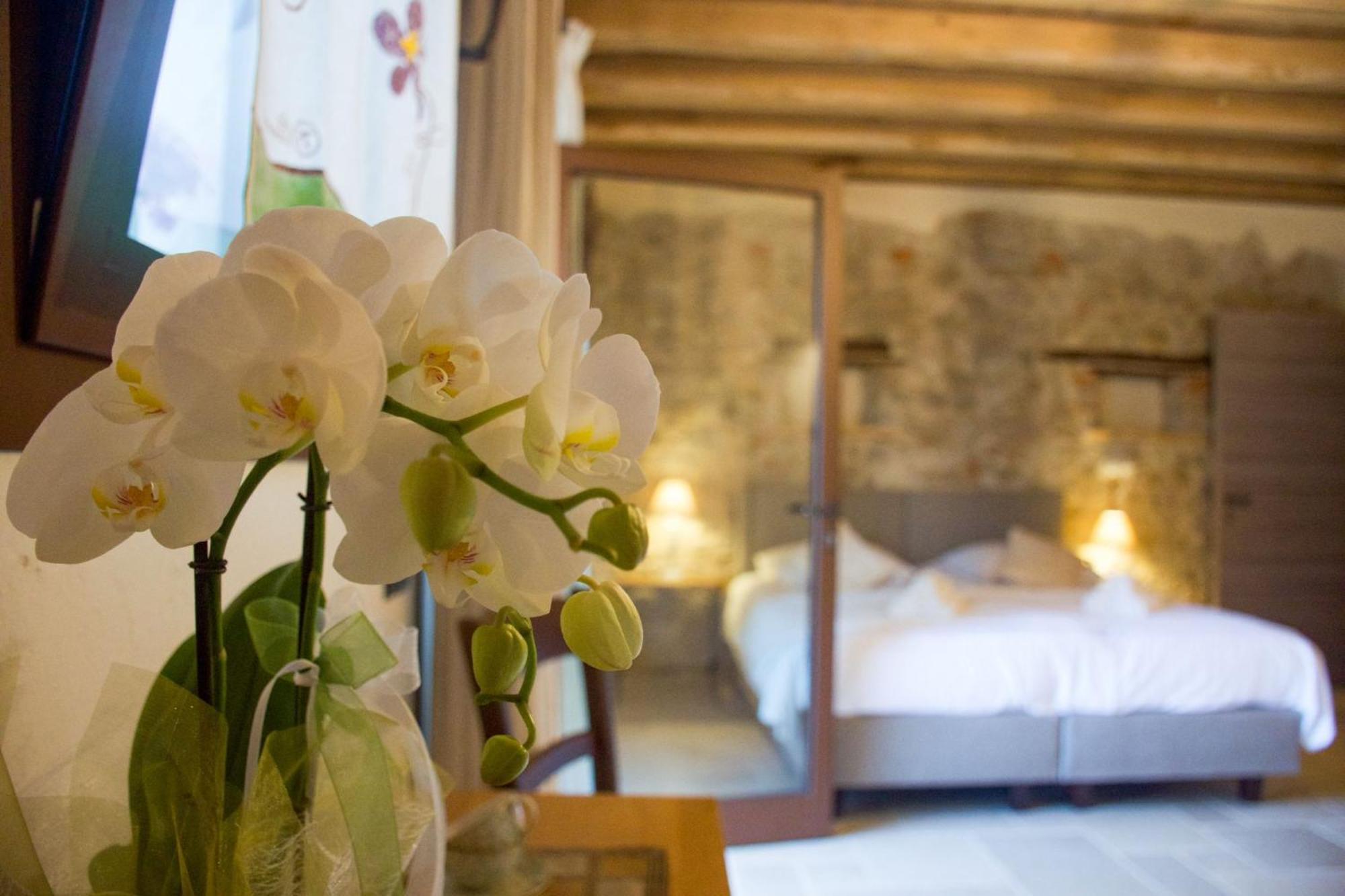 Agriturismo La Pina Tarzo Exterior photo