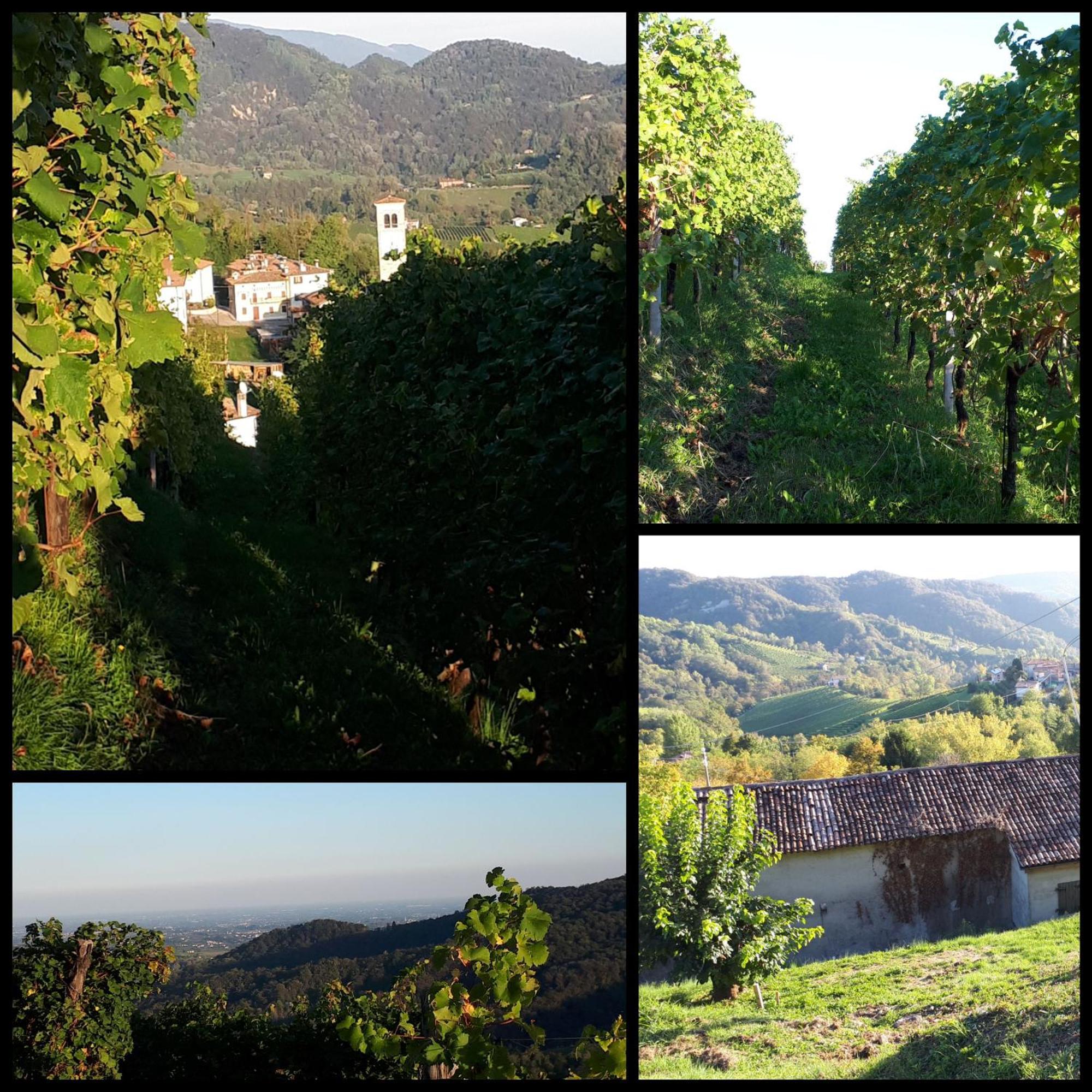 Agriturismo La Pina Tarzo Exterior photo